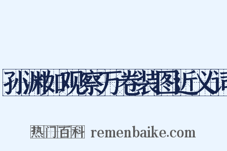 孙渊如观察万卷装图近义词是什么意思的图片